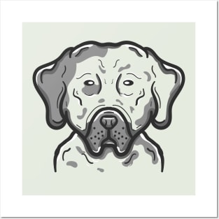 Cute Catahoula Dog Posters and Art